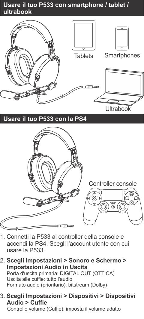 P533 Racing